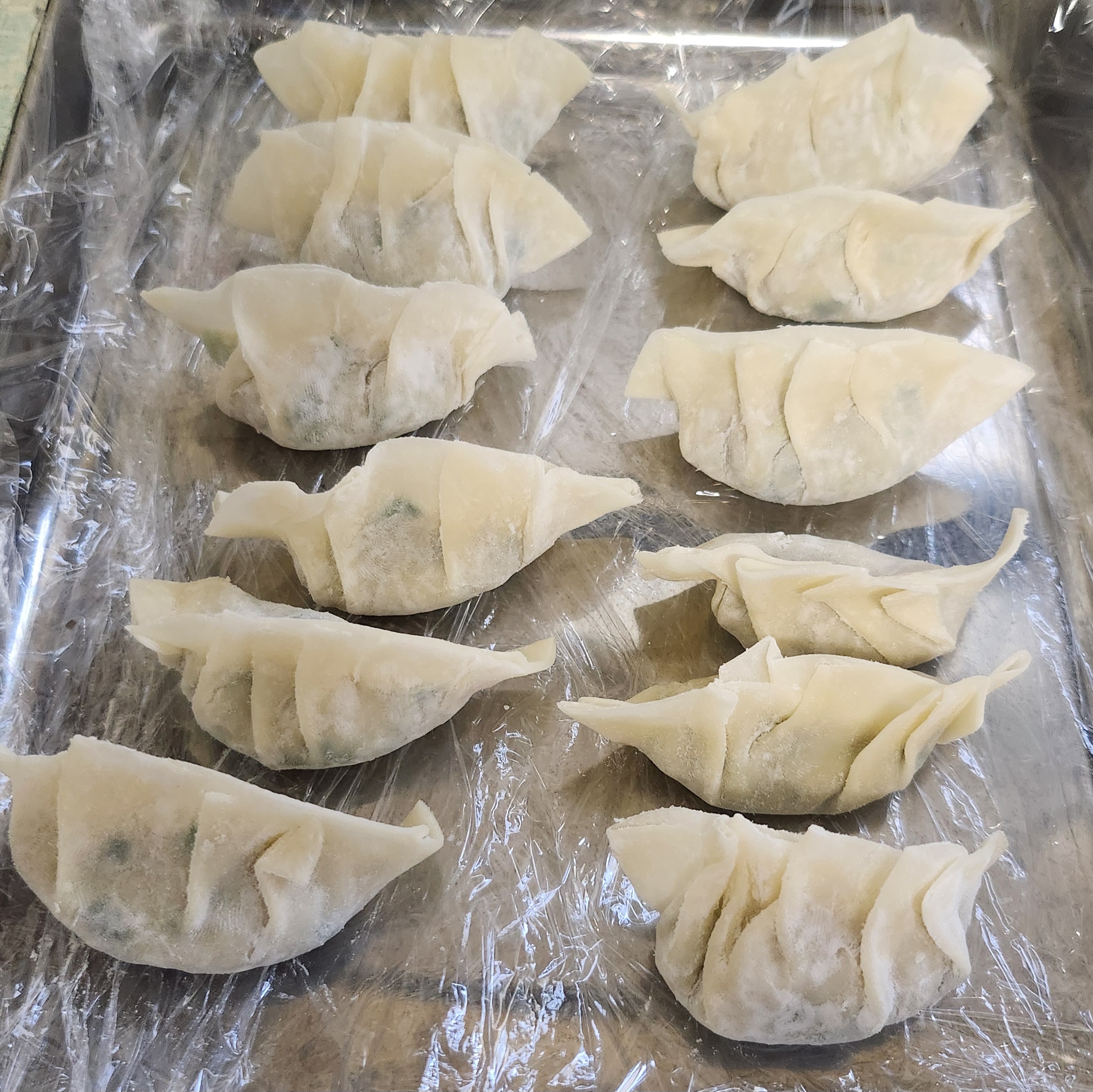 Handmade Gyoza
